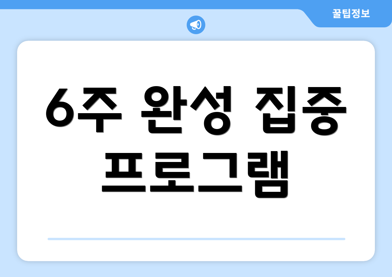 6주 완성 집중 프로그램